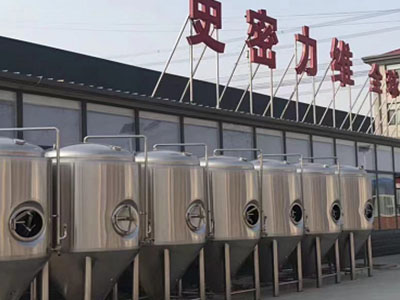 平和精酿啤酒设备厂—如何判断精酿啤酒设备的密封件需要更换？